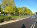  verdure, avenue des Sapins